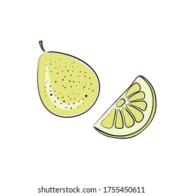 Pomelo fruit flat vector illustration. sketch slices of fresh tropical fruit. Isolated. Citrus creative clipart with typography for healthy cooking menu,set, design element. doodle.