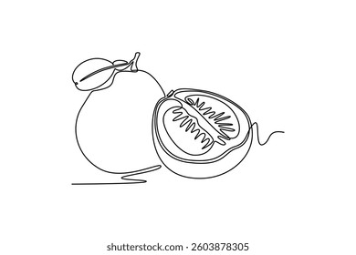 Pomelo fruit. Fruits concept. Single line draw design. Vector graphic illustration