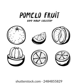 Pomelo fruit hand drawn concept on white background