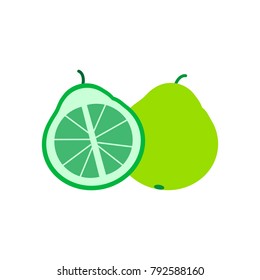Pomelo fruit illustration