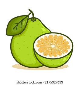 Pomelo fruit with leaf color vector illustration. Outline citrus maxima isolated on white background. Cartoon exotic food design, colorful flat design