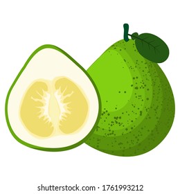 Pomelo fruit, Pomelo simple vector isolated object. Vector illustration