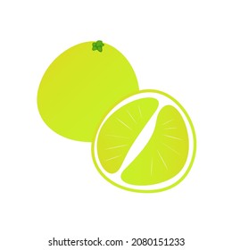 A pomelo icon in vector, eps 10