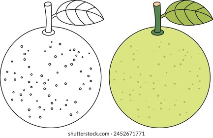 Pomelo Isolated Vector Illustration Coloring Page Hand Drawn for Kids