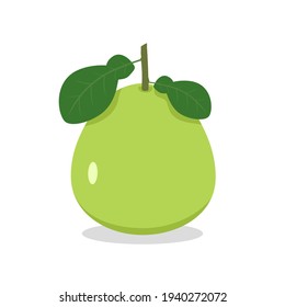 Pomelo with leave.Flat design style.Isolated on white background.Vector illustration about fruit.