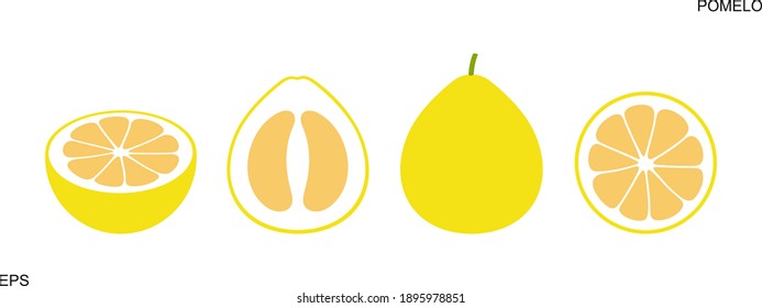 Pomelo logo. Isolated pomelo on white background