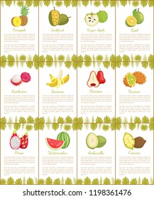 Pomelo and longan, coconut and citron, passion fruit and mango slice. Carambola and cupuacu, papaya and watermelon, salak and marang posters vector