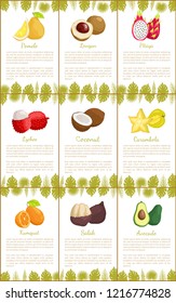 Pomelo and longan set posters with text sample and decorative foliage vector. Avocado and exotic lychee, carambola and salak, kumquat pitaya food