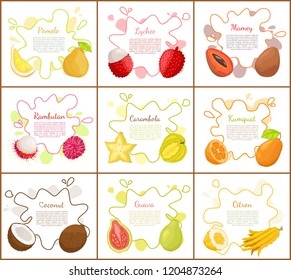 Pomelo and lychee, mango tropical fruit slices and carambola star. Posters set with text sample, coconut and citron, rambutan and papaya food vector