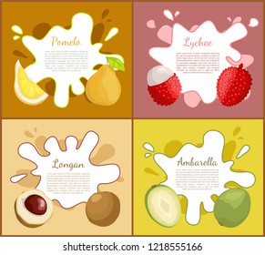 Pomelo and lychee, slice of longan and ambarella tropical product. Exotic fruits set of posters and ripe meal full of vitamins and freshness vector