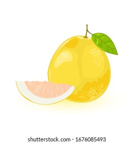 Pomelo or shaddock whole with green leaf and segment of it. Yellow sweet largest citrus fruit with pink flesh and very thick albedo, rind. Vector illustration isolated on white background.