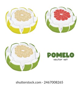 Pomelo vector. Grapefruit. Shaddock fruit with green and yellow rind. Flat vector in cartoon style isolated on white background.