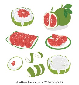 Pomelo vector. Grapefruit. Shaddock fruit with green rind. Flat vector in cartoon style isolated on white background.