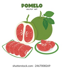 Pomelo vector. Grapefruit. Shaddock fruit with green rind. Flat vector in cartoon style isolated on white background.