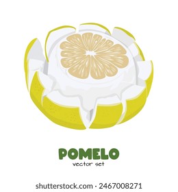 Pomelo vector. Grapefruit. Shaddock fruit with yellow rind. Flat vector in cartoon style isolated on white background.