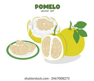 Pomelo vector. Grapefruit. Shaddock fruit with yellow rind. Flat vector in cartoon style isolated on white background.