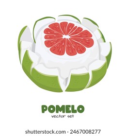 Pomelo vector. Grapefruit. Shaddock fruit with green rind. Flat vector in cartoon style isolated on white background.