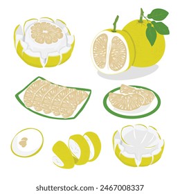 Pomelo vector. Grapefruit. Shaddock fruit with yellow rind. Flat vector in cartoon style isolated on white background.