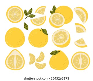 Pomelo Vector Illustration Isolated Set. Whole Summer Fruit with Halves, Slices and Leaves. Pink Pumello Collection.