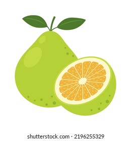 Pomelo whole fruit and half isolated on white background. Citrus maxima, shaddock, jabong or jambola icon. Vector illustration of tropical exotic fruits in flat style.