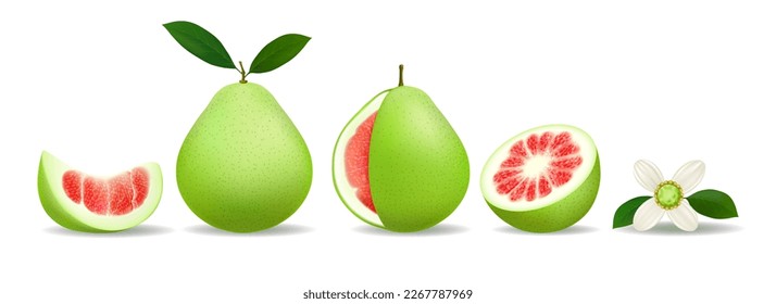 Pomelo whole slices half and flower. Shaddock fruit elements isolated, green pomelos citrus with leaves on white for juice and agricultural packaging