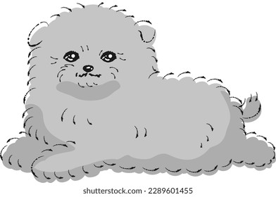 Pomepoo-Illustration (Mix-Hund aus Pommern und Spielzeug-Poodle)