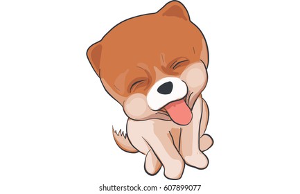 pomeranian