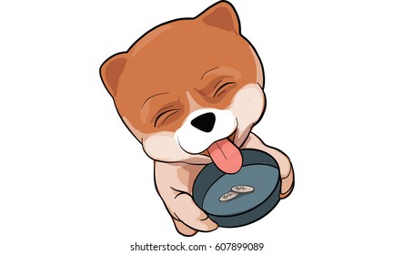 pomeranian