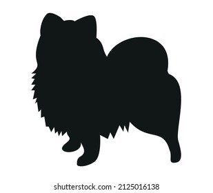 Pomeranian Pomeranian black silhouette outline of a standing dog