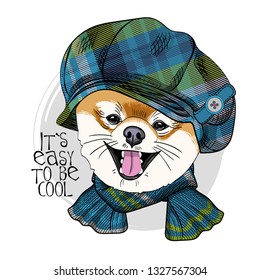 Pomeranian with blue checkered hat and knitted scarf. Hand drawn illustration of dressed dog. Vector illustration.