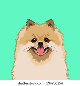 Pomeranian, The Buddy Dog