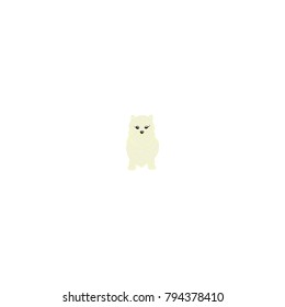 Pomeranian cartoon dog icon isolated on white background