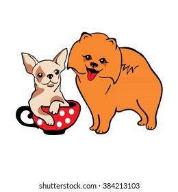 Pomeranian and Chihuahua small dog breeds