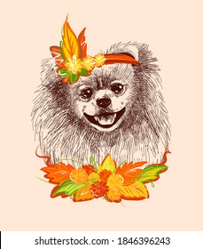 Pomeranian dog in the carnival outfit of autumn. Print illustration for t-shirts, postcards, etc. A sketch drawn by hand in a vector on an isolated background.