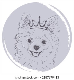 Pomeranian dog in a crown. Spitz. Avatar for social networks. Portrait of a pet. Stock image isolated on white background