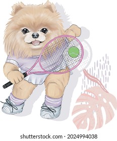 Pomeranian Dog girl Play Tennis