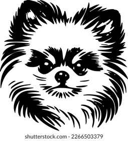Pomeranian, dog head, vector illustration, black color, vector image