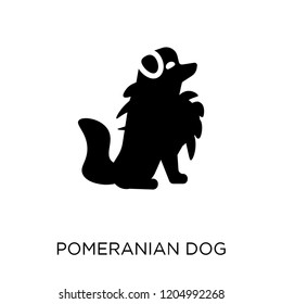 Pomeranian dog icon. Pomeranian dog symbol design from Dogs collection. Simple element vector illustration on white background.