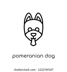Pomeranian dog icon. Trendy modern flat linear vector Pomeranian dog icon on white background from thin line dogs collection, editable outline stroke vector illustration