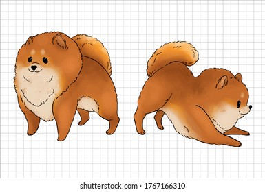 Pomeranian Dog Illustration. Cute Dog Vector Illustration.