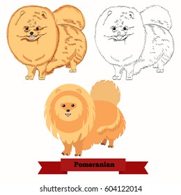 Pomeranian dog isolated on white background. Ginger pomeranian spitz dog in hand drawn and flat styles.