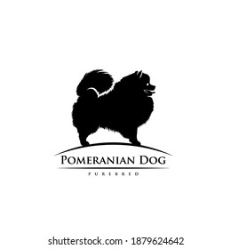 Pomeranian dog - isolated vector illustration