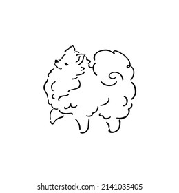 Pomeranian dog, line drawing vector illustration symbol design 