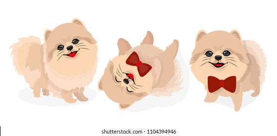 Pomeranian Dog Puppy Illustration