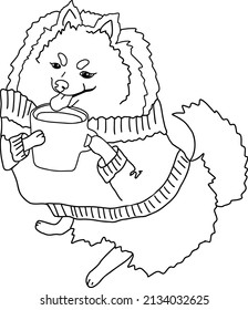 Pomeranian dog in sweater drinking drink from mug. Spitz holding cup. Sketch vector illustration.