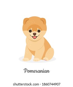 Perro panomerano. Ilustración vectorial de adorable cachorro esponjoso en estilo plano. Aislado sobre blanco