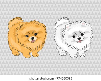 Pomeranian dog. Vector illustration of cute puppy.