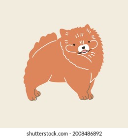 Perro panomerano. Ilustración vectorial. Estilo plano. Aislado sobre fondo claro. Animales de la patria, amante de los perros, panes, papas, amigo de cuatro patas. Diseño para pines, pegatinas, zoológico, tienda de mascotas.