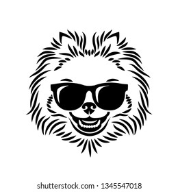 Pomeranian dog wearing sunglasses - isolated vector illustration 