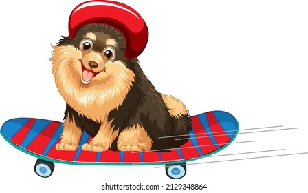 Pomeranian dog wears helmet standing on skateboard illustration